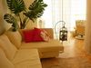 cozy room