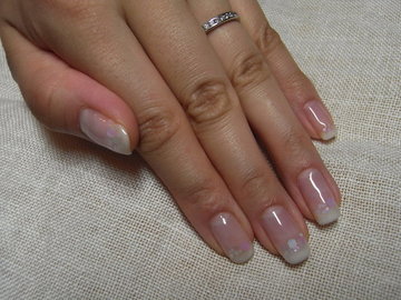 フレンチ×ホロ&シェル