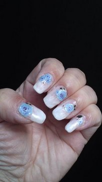 Blue rose