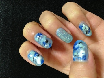 夏 ブルータイダイ