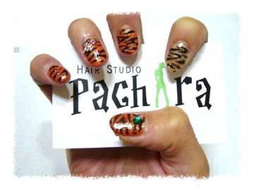 ☆Pachira☆