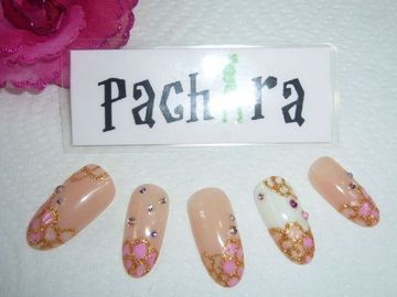 ★Pachira★
