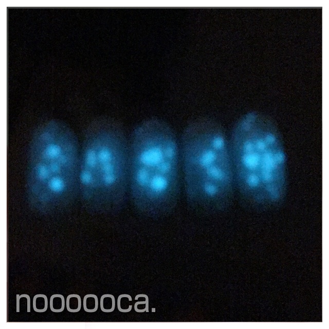 暗闇で光る蓄光ネイル / nooooca. (nooooca.) のネイル - ネイルクルー