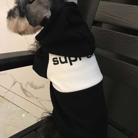 犬服
