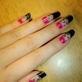 ﾌﾞﾗｯｸ×ｸﾘｱ×ﾋﾟﾝｸ(ﾎﾟﾘｯｼｭのみ)