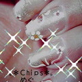 。＊Ｃhiｐs ＊。