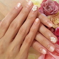 プックリお花