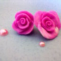 樹脂*薔薇