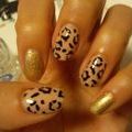 nudie beige gold leopard