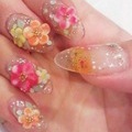 トロピカルハイビスカス
