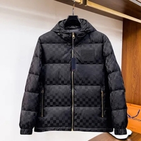 LOUIS VUITTON ルイヴィトン ダミエ ダウンジャケッ