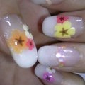 押し花